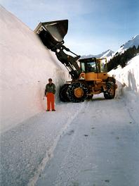 Loads of Snow, really